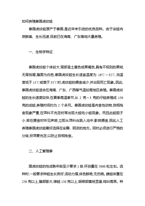 如何养殖泰国虎纹蛙