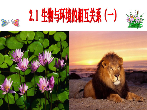 2.1 生物与环境的相互关系 (1)生物与非生物因素之间的关系