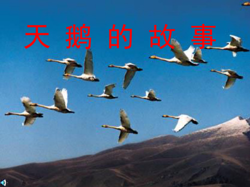 天鹅的故事说课课件
