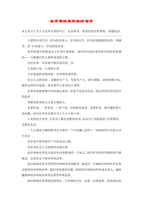 关于写改革开放的句子_1
