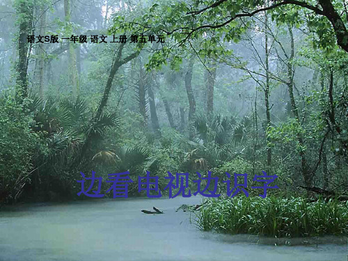一年级语文上册 边看电视边识字 2课件 