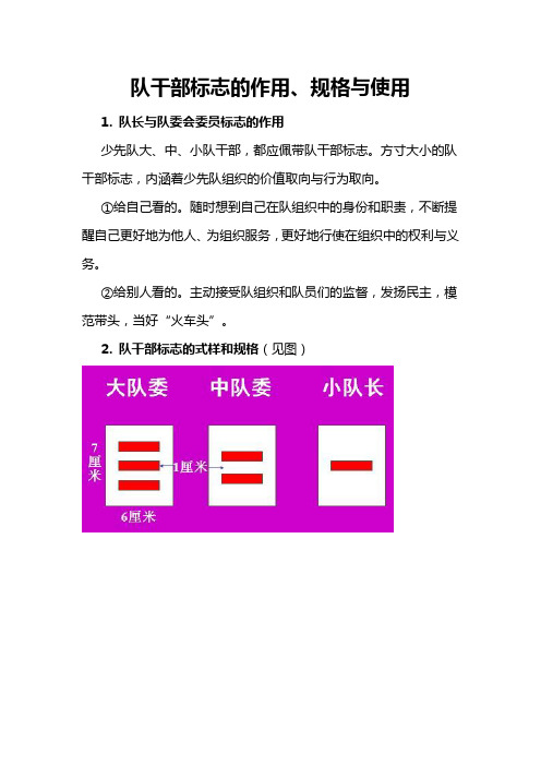 队干部标志的作用、规格与使用