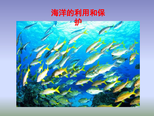 商务星球版地理八年级下册10.2《海洋利用与保护》课件.pptx (共27张PPT)