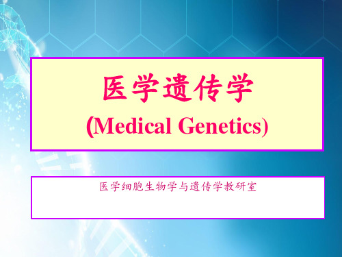 遗传学多基因遗传病ppt课件