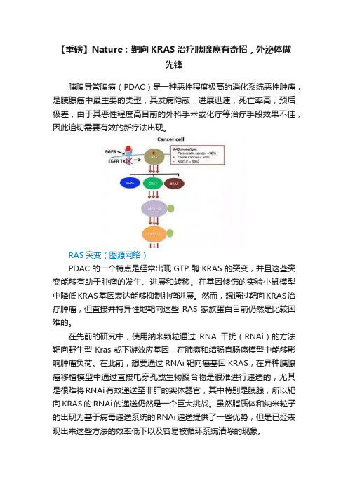 【重磅】Nature：靶向KRAS治疗胰腺癌有奇招，外泌体做先锋