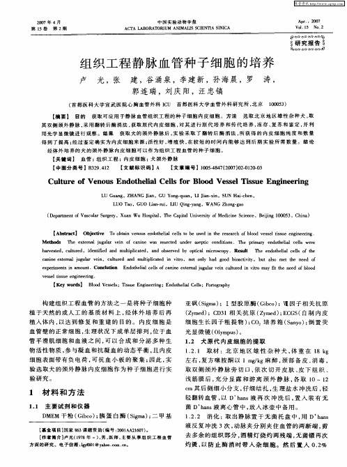 组织工程静脉血管种子细胞的培养