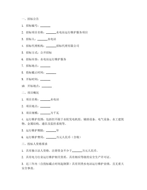 水电运行招标文件范本