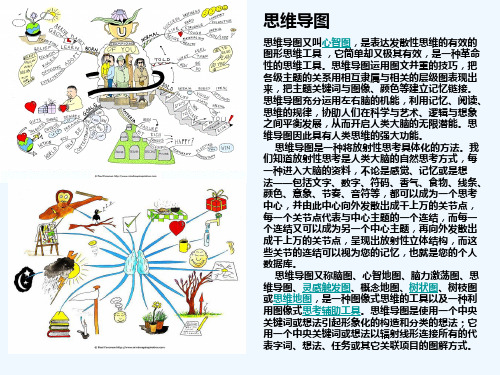 思维导图小学培训讲座
