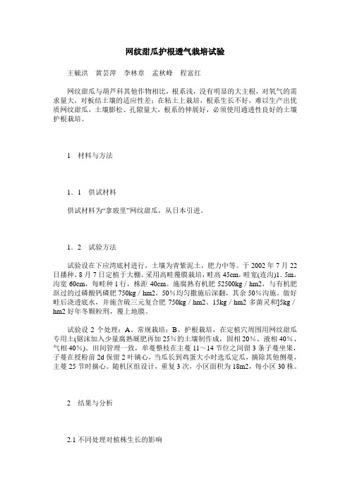 网纹甜瓜护根透气栽培试验