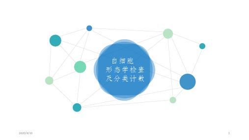 实验课-白细胞分类及形态PPT课件
