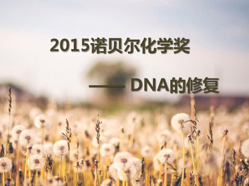 2015诺贝尔化学奖
