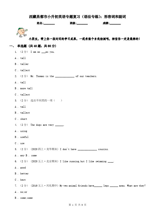 西藏昌都市小升初英语专题复习(语法专练)：形容词和副词