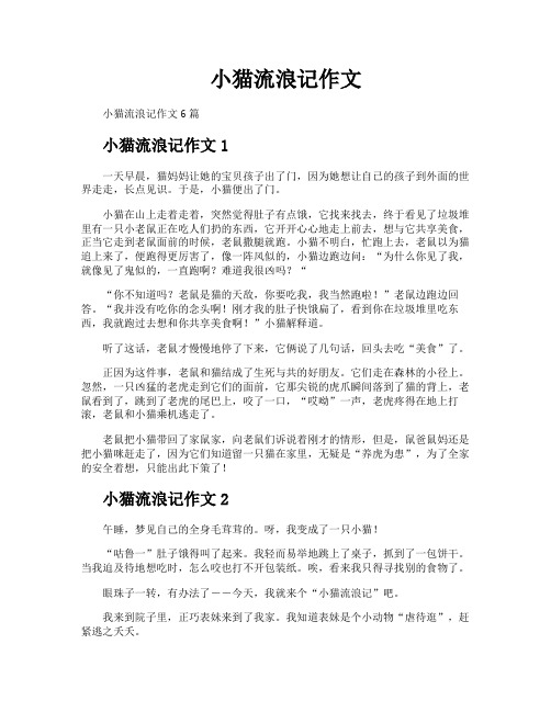 小猫流浪记作文