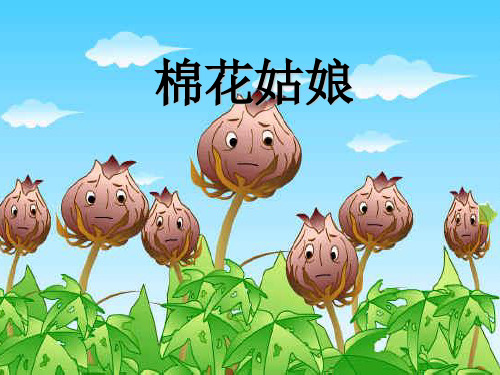 人教部编版一年级下册语文课件-《棉花姑娘》 (共19张PPT).ppt
