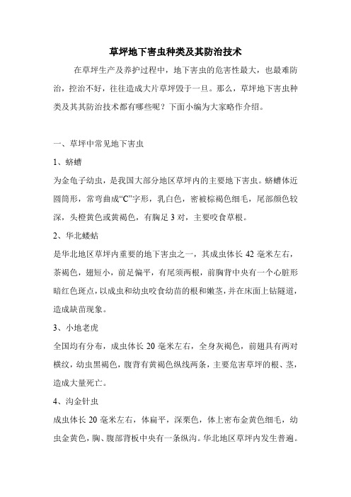 草坪地下害虫种类及其防治技术