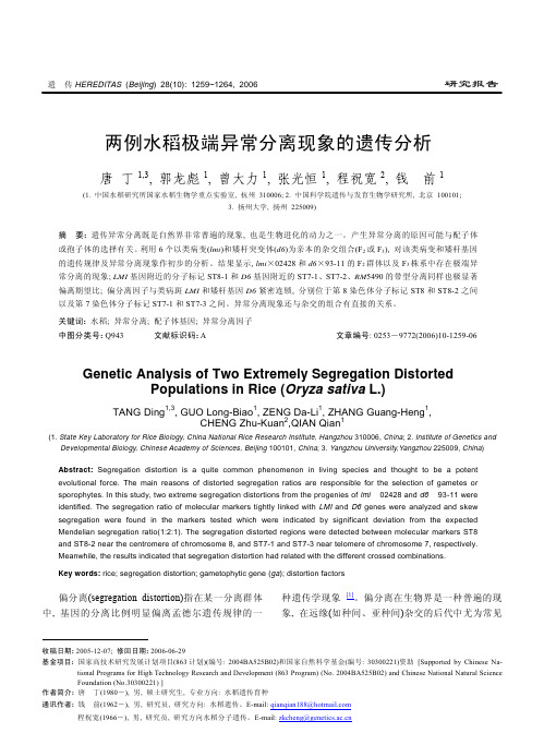 两例水稻极端异常分离现象的遗传分析