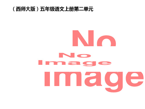 《我没有钓到那条鱼》ppt课件(自制)
