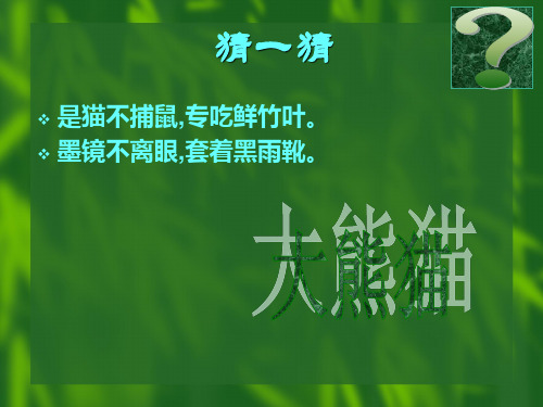大熊猫PPT课件