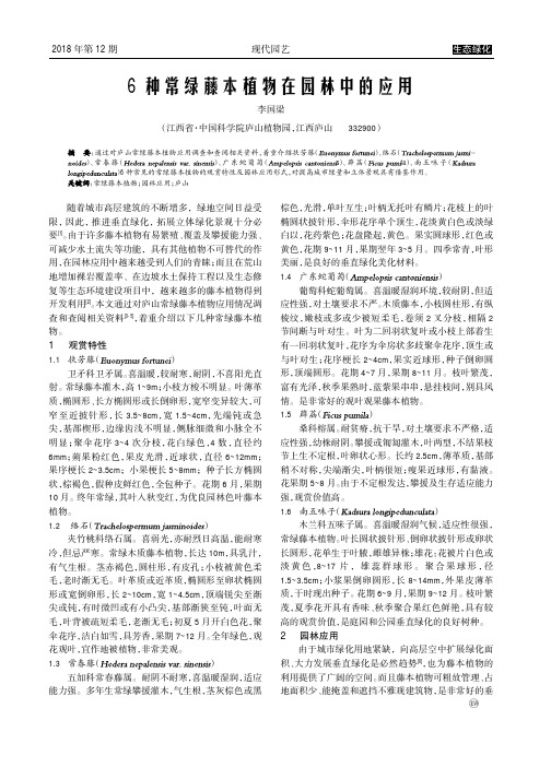 6种常绿藤本植物在园林中的应用