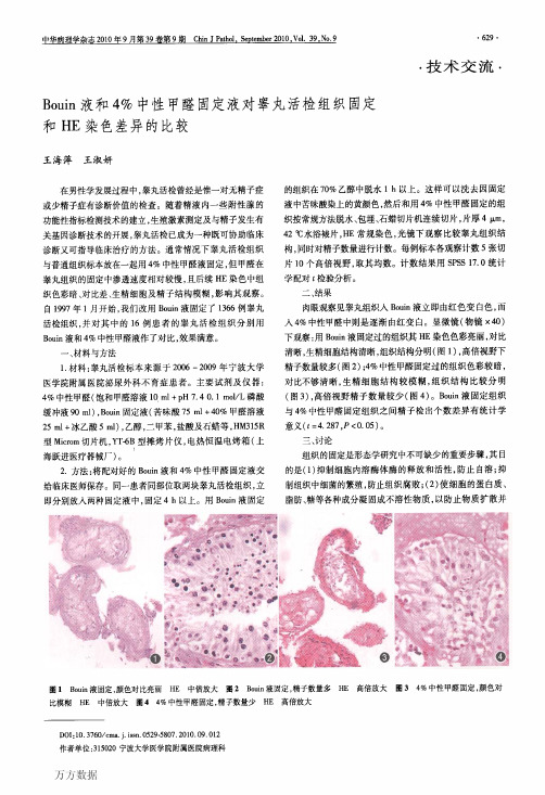 Bouin液和4中性甲醛固定液对睾丸活检组织固定和HE染色差异的比较