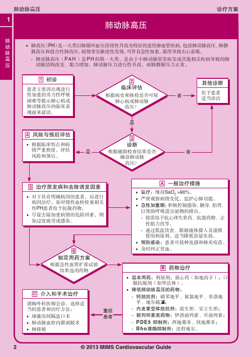 2013MIMS呼吸系统疾病指南-肺动脉高压