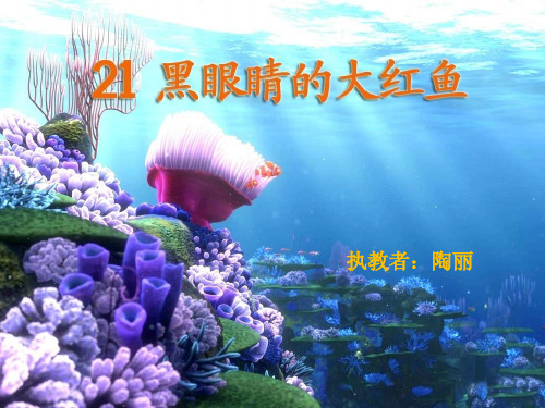 黑眼睛的大红鱼.成功12ppt