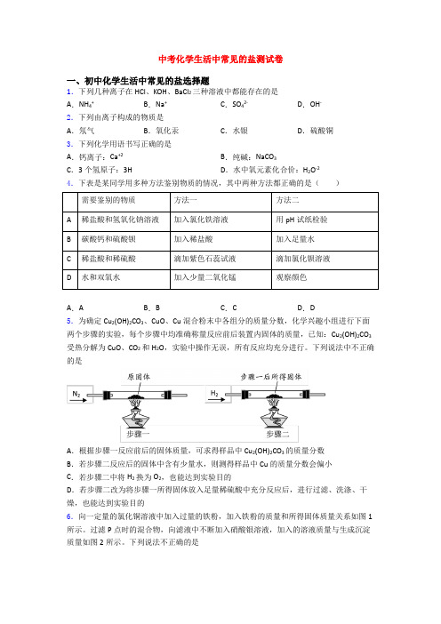 中考化学生活中常见的盐测试卷