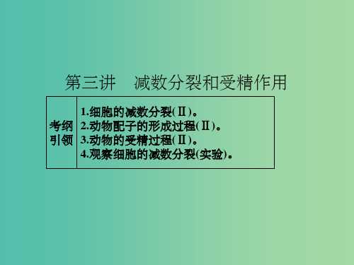 高考生物一轮总复习 第四单元 第三讲 减数分裂和受精作用课件