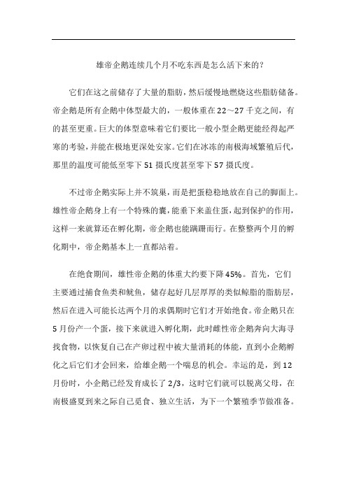雄帝企鹅连续几个月不吃东西是怎么活下来的