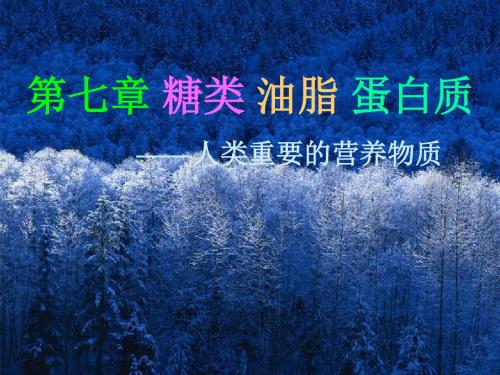 高二化学最新课件-高二化学第七章第一节《葡萄糖蔗糖