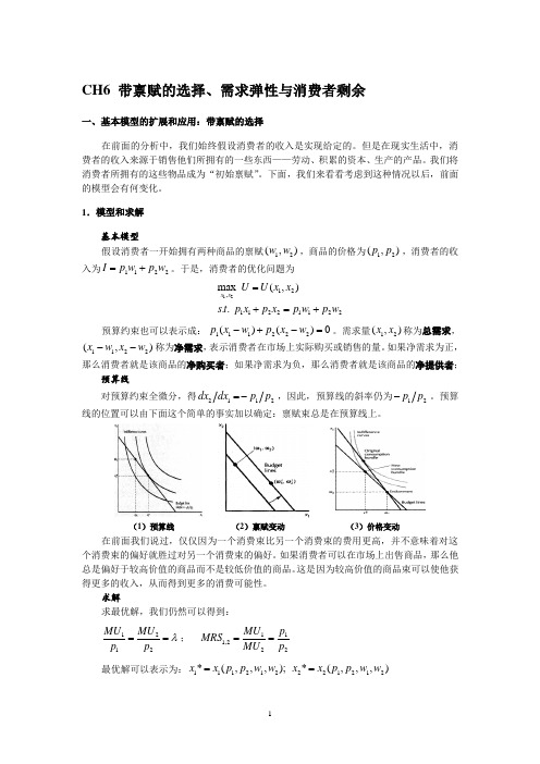 CH06 带禀赋的选择