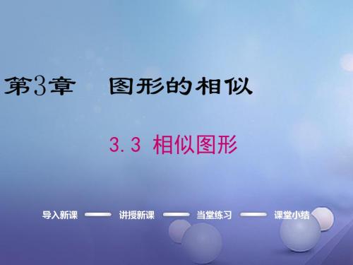 九年级数学上册 3.3 相似图形课件 (新版)湘教版