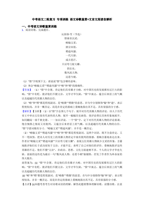 中考语文二轮复习 专项训练 语文诗歌鉴赏+文言文阅读含解析