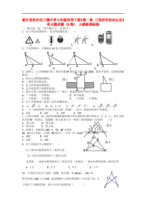 浙江省杭州市三墩中学七年级科学下册《第一章 三角形