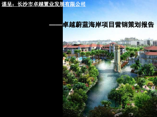 某项目营销策划报告分析(