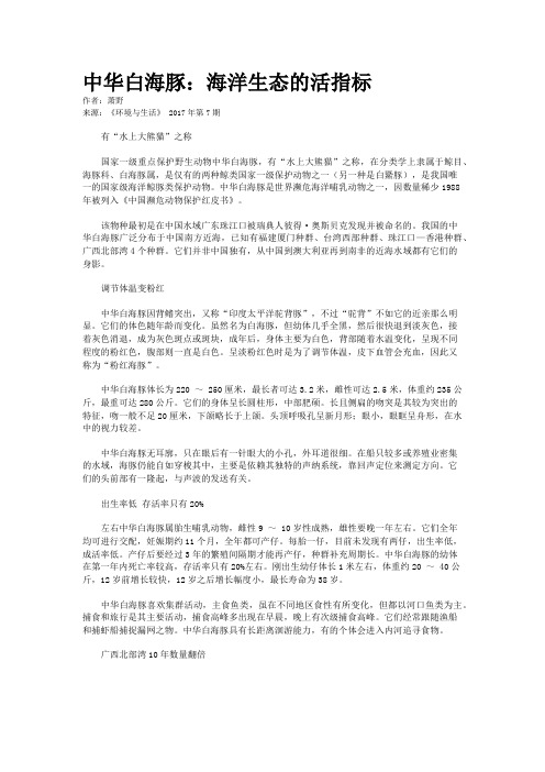 中华白海豚：海洋生态的活指标