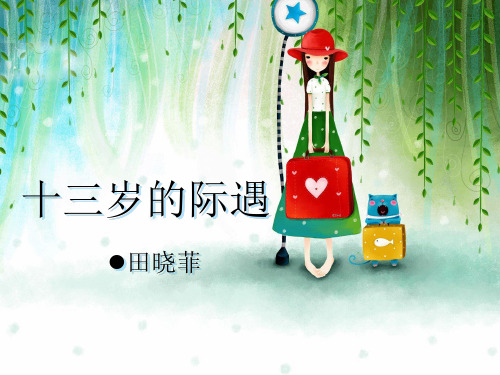 六年级下册语文课件 -十三岁的际遇 鲁教版 (3)(共15张PPT)