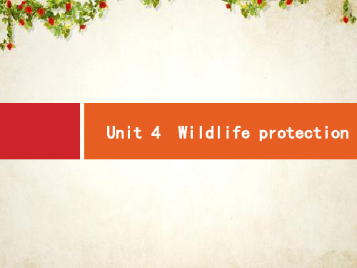 2020高考英语(人教版)总复习课件：必修2 Unit 4 Wildlife protection 