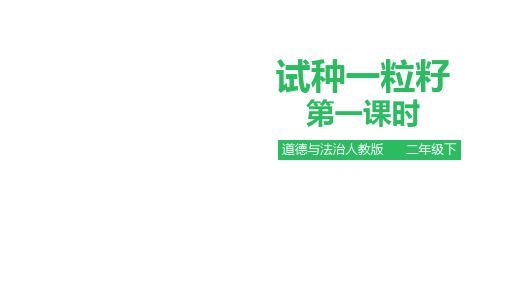 部编版二年级下册道德与法治4 试种一粒籽 课件