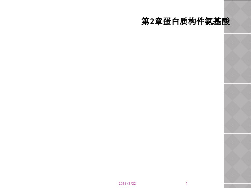 第2章蛋白质构件氨基酸