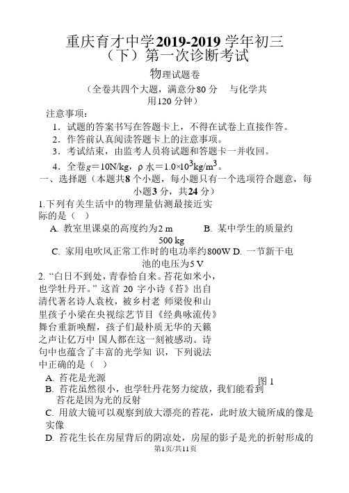 重庆市育才中学九年级下学期第一次诊断考试物理试题(word版,)