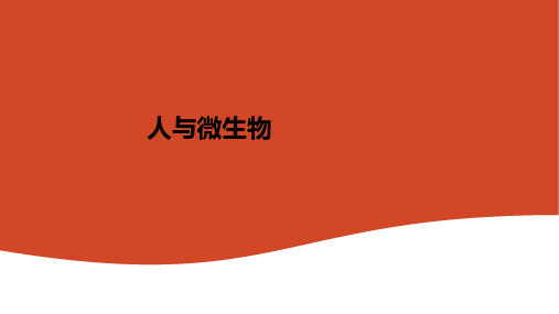人与微生物ppt课件