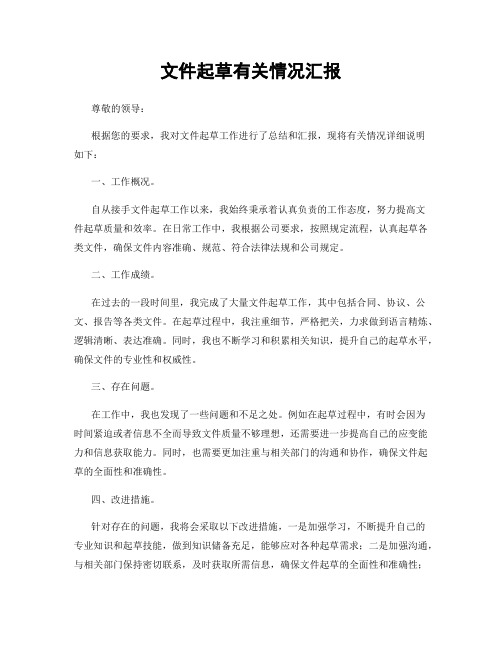 文件起草有关情况汇报