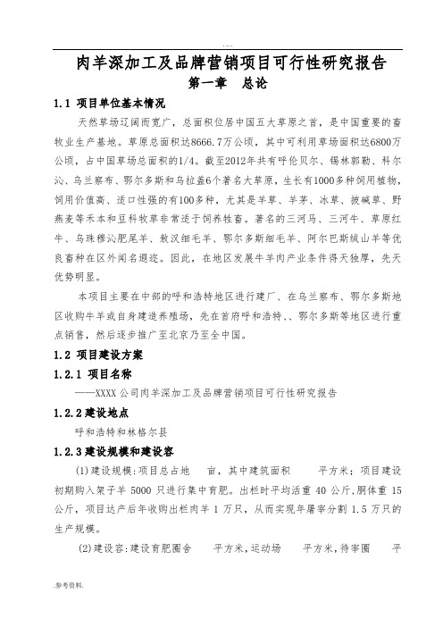 肉羊深加工及品牌营销项目可行性实施报告