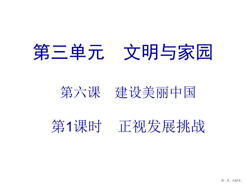 上册第单元第课第课时正视发展挑战课件部编版道德与法治九年级全一册