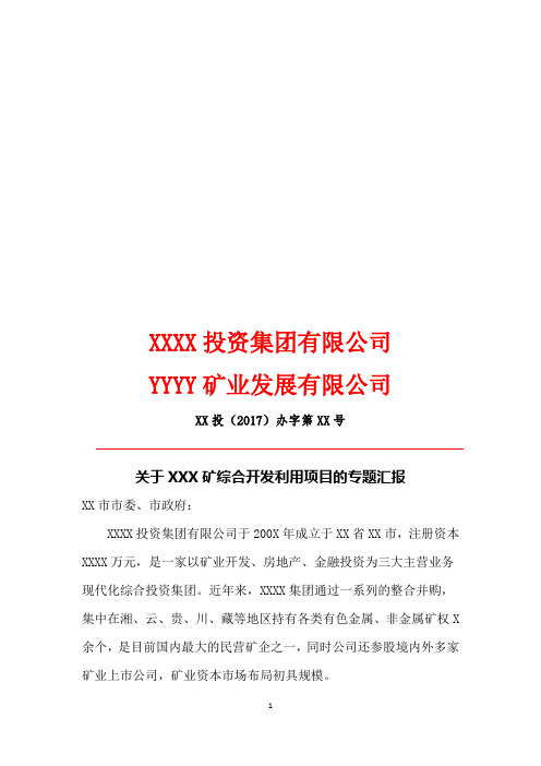 矿业项目立项汇报模板