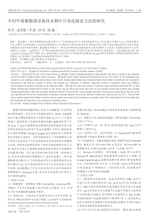 不同甲基紫精诱导离体水稻叶片氧化胁迫方法的研究