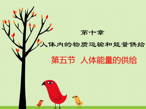 2020春苏教版生物七年级下册第四单元第10章教学课件-第五节  人体能量的供给(共19张PPT)
