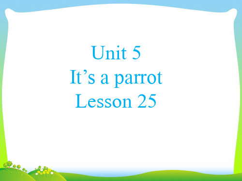 新人教精通版三年级英语下册 Unit 5 It%27s a parrot Lesson 25 课件2.ppt