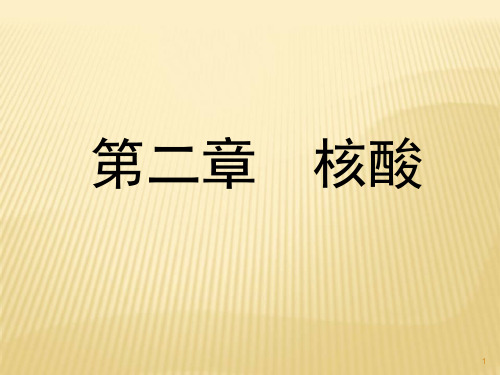 生物化学-核酸(课堂PPT)